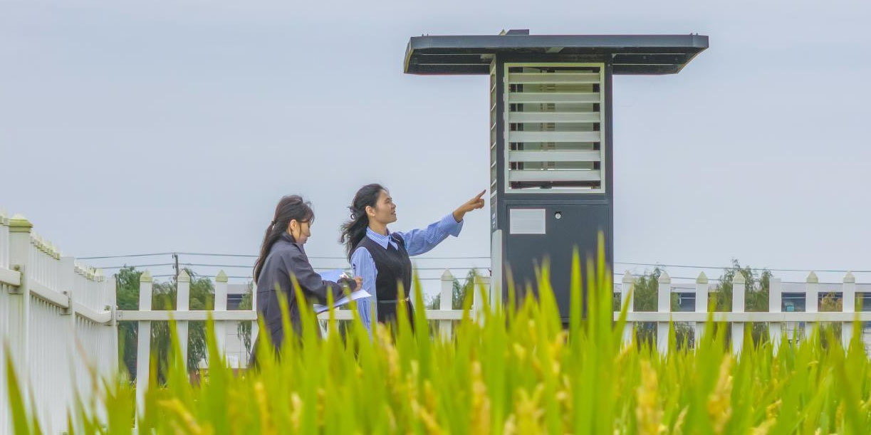 Foto: China acelera la modernización agrícola/Cortesía