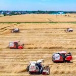 China lanza plan histórico para transformar su agricultura hasta 2030 Foto: China acelera la modernización agrícola/Cortesía