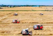 China lanza plan histórico para transformar su agricultura hasta 2030 Foto: China acelera la modernización agrícola/Cortesía
