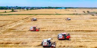 Foto: China acelera la modernización agrícola/Cortesía