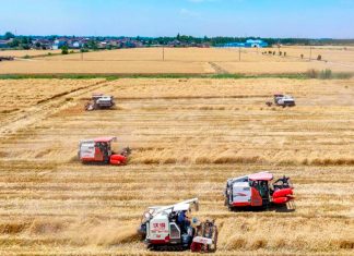 Foto: China acelera la modernización agrícola/Cortesía