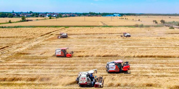 1 Foto: China acelera la modernización agrícola/Cortesía