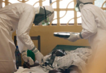 Rastrean origen del brote de ébola en el Congo Foto: Investigación revela posible expansión silenciosa del ébola en Congo/Cortesía