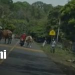Foto: Motociclista detenido por conducción temeraria en Ometepe/TN8