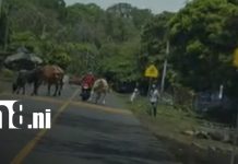 Foto: Motociclista detenido por conducción temeraria en Ometepe/TN8