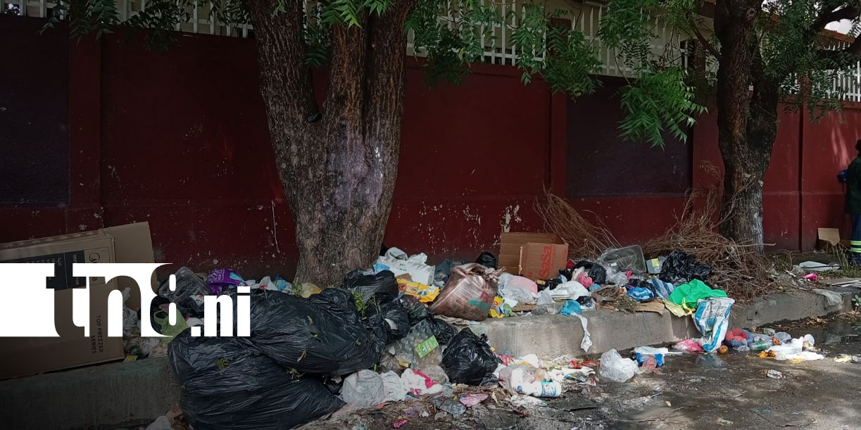 Foto:Jornada de limpieza transforma el Distrito VI de Managua/TN8