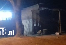 Foto: Mujer hallada sin vida en Ciudad Sandino es investigada/TN8