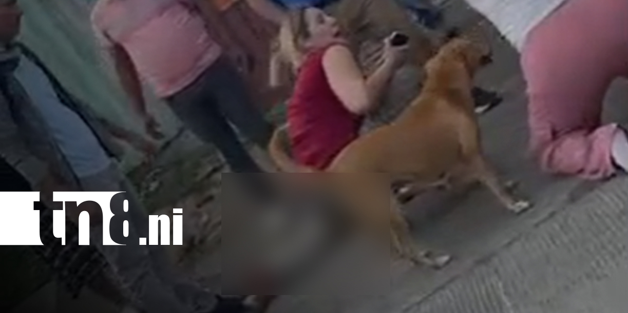 Foto: Menor muere atropellado y conductor huye/TN8
