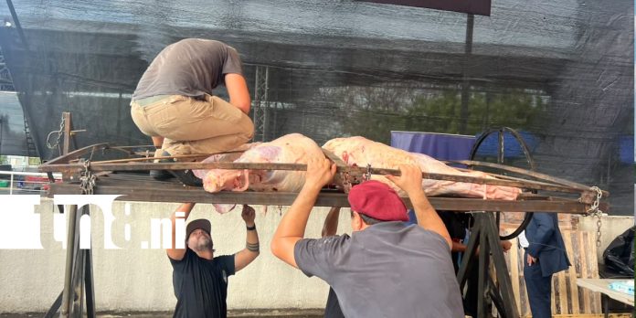 Foto: El arte del fuego en el BBQ Challenge /TN8 Foto: El arte del fuego en el BBQ Challenge /TN8