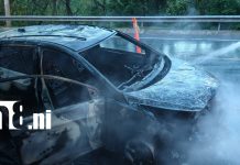 Foto: Vehículo se incendia en Carretera Sur y Biblia permanece intacta entre los restos/TN8