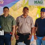 Rivas fortalece su producción de arroz con apoyo del proyecto KOPIA Foto: Fortalecen cultivos de arroz en Rivas/TN8