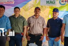 Foto: Fortalecen cultivos de arroz en Rivas/TN8