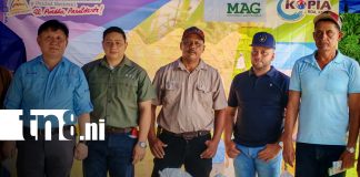 Foto: Fortalecen cultivos de arroz en Rivas/TN8