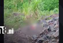 Joven de 27 años es encontrado sin vida en la carretera La Dalia – Rancho Grande Foto: Joven de 27 años es encontrado sin vida en la carretera La Dalia – Rancho Grande/TN8