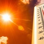 Foto: Varios muertos por ola de calor en Francia /Cortesía
