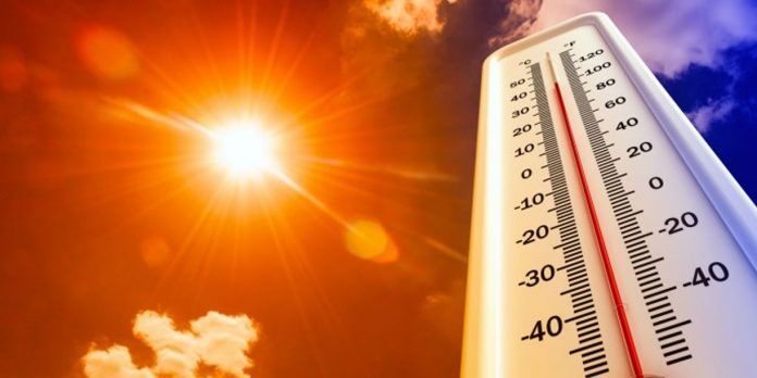 Foto: Varios muertos por ola de calor en Francia /Cortesía Foto: Varios muertos por ola de calor en Francia /Cortesía