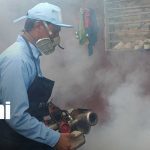 Foto: Más de 600 viviendas serán visitadas en jornada preventiva contra mosquitos en Managua / TN8