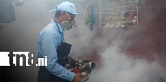 Foto: Más de 600 viviendas serán visitadas en jornada preventiva contra mosquitos en Managua / TN8