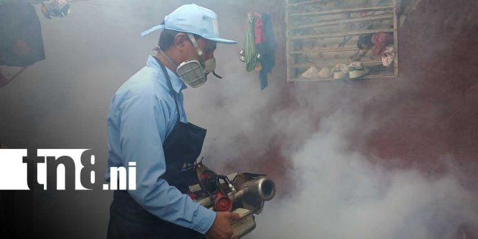 1 Foto: Más de 600 viviendas serán visitadas en jornada preventiva contra mosquitos en Managua / TN8