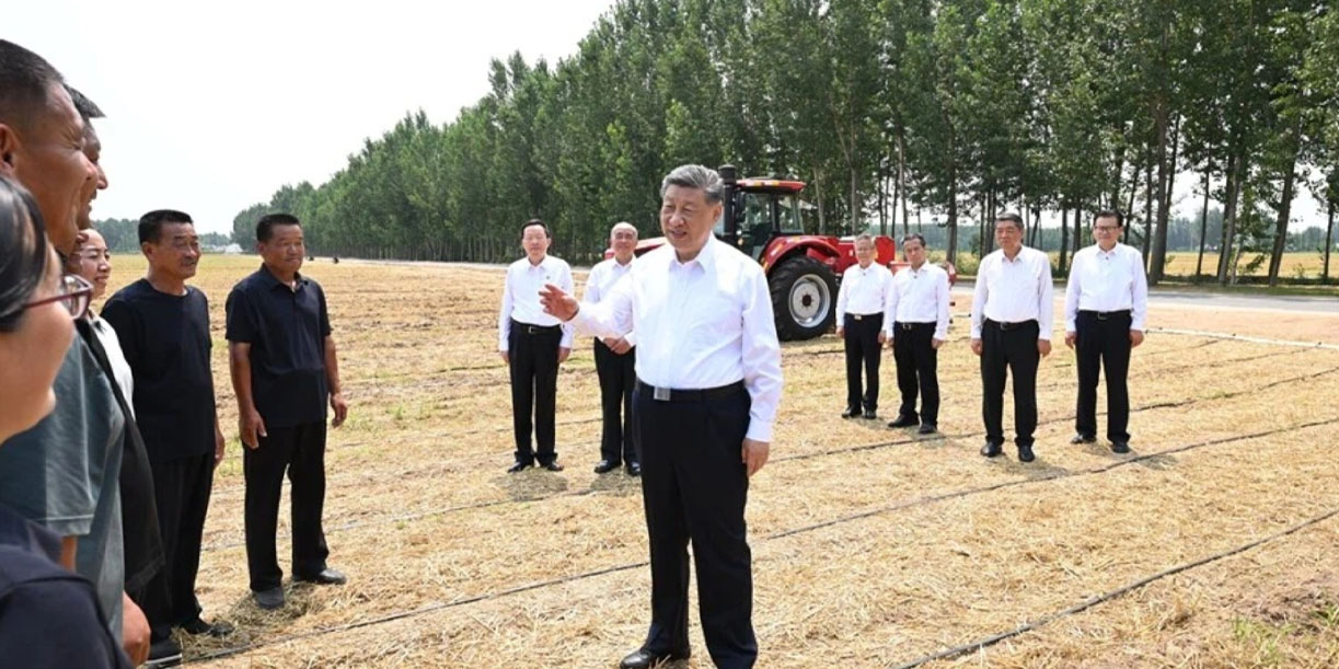 Foto: China acelera la transformación agrícola/Cortesía