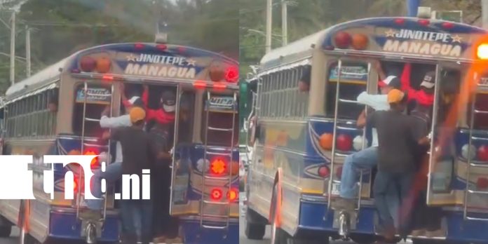 Foto: Bus