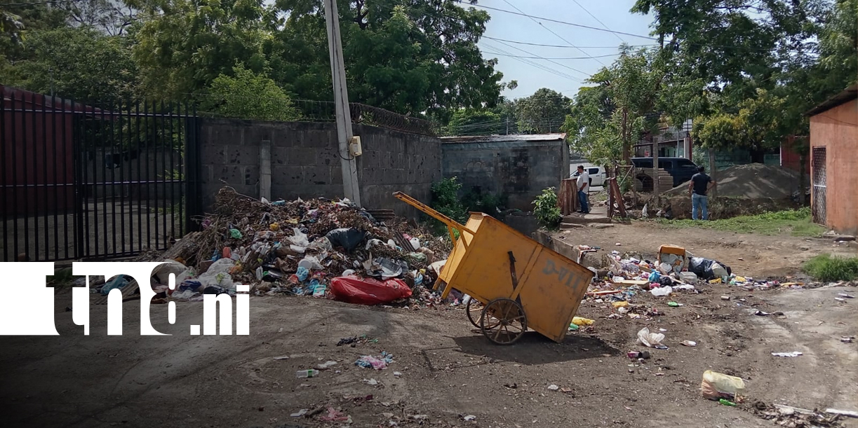 Foto: Villa Libertad limpia botadero en Managua/TN8