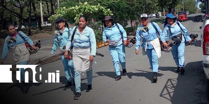 Foto:Brigadas del MINSA realizan fumigación en más de 1,000 viviendas en Managua/TN8