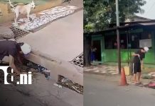 Foto: Multado por arrojar basura en Managua/TN8