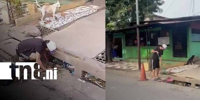 Foto: Multado por arrojar basura en Managua/TN8