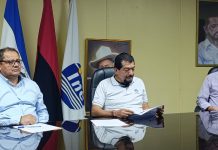 Foto: INE confirma una semana más de estabilidad en los precios de los combustibles/TN8