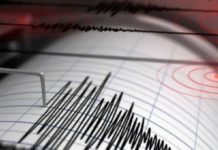 Foto: Terremoto de gran alcance golpea Afganistán y Pakistán /Cortesía