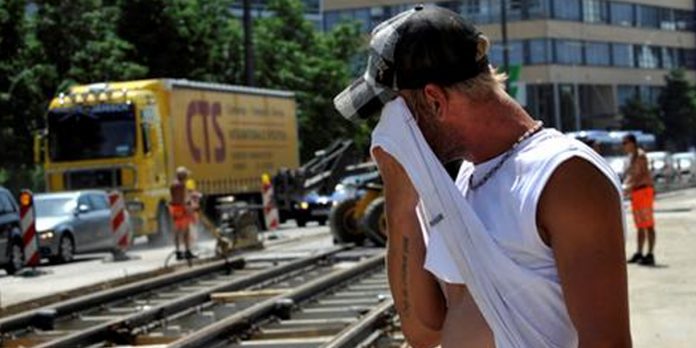 Foto: Alemania suspende tranvías por calor extremo/Cortesía