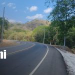 Tragedia en Rivas: muere puma bebé atropellado en la carretera costanera Foto: Tragedia en la carretera costanera de Rivas/TN8