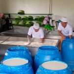 Foto: Sector lácteo reporta 72.7 millones de galones de leche/Cortesía