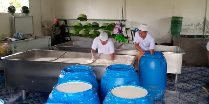 Foto: Sector lácteo reporta 72.7 millones de galones de leche/Cortesía
