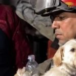 Foto: Sismo en Venezuela activa rescate de animales afectados/Cortesía