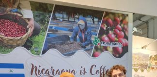 foto: Bruselas recibe café de especialidad de Nicaragua/Cortesía