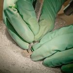 Foto: Excavación en Notre Dame revela 2 mil años de historia/Cortesía