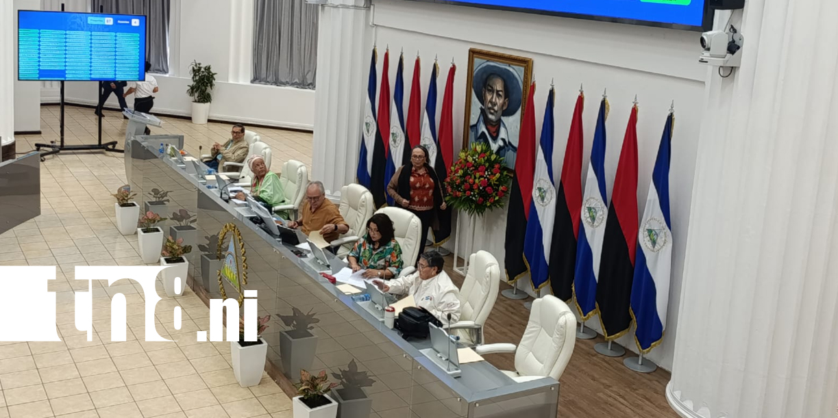 Foto: Asamblea respalda declaración internacional en favor de Cuba /TN8
