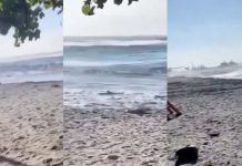 Olas de tsunami golpean Filipinas tras potente terremoto Foto: Refuerzan monitoreo en las costas de Filipinas/Cortesía