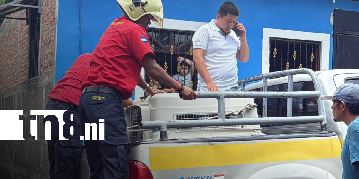 Foto: Sacrifican pitbull en Matagalpa/TN8