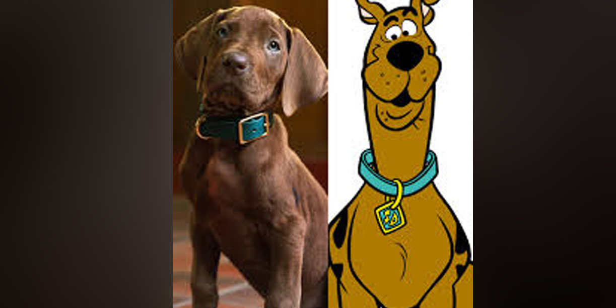 Foto: Netflix revela al primer Scooby-Doo real/Cortesía