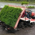 Foto: MAG impulsa tecnología para aumentar producción/Cortesía