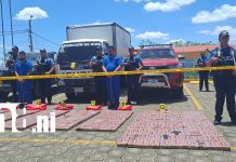 Enfrentarán juicio en Managua por transportar más de 500 kilos de cocaína Foto: Enfrentarán juicio en Managua /TN8