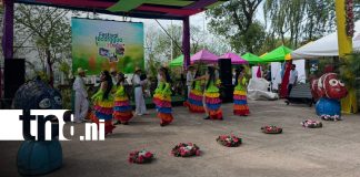 Foto: Festival Verde y Creativo Nicaragua, promueve la cultura ambiental y la sostenibilidad/TN8