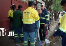 Familias se unen por barrios más saludables en Managua, como parte de la campaña “¡Jugá limpio! Foto:Jornada de limpieza transforma el Distrito VI de Managua/TN8