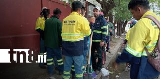 Foto:Jornada de limpieza transforma el Distrito VI de Managua/TN8