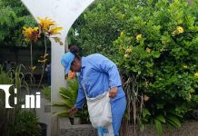 MINSA intensifica lucha contra el dengue con fumigación en el barrio Santa María Foto: MINSA refuerza fumigación en barrio Santa María/TN8