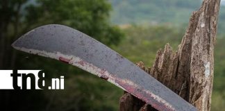 Foto: ¡Por poco lo matan! Juicio por brutal ataque en Managua / TN8