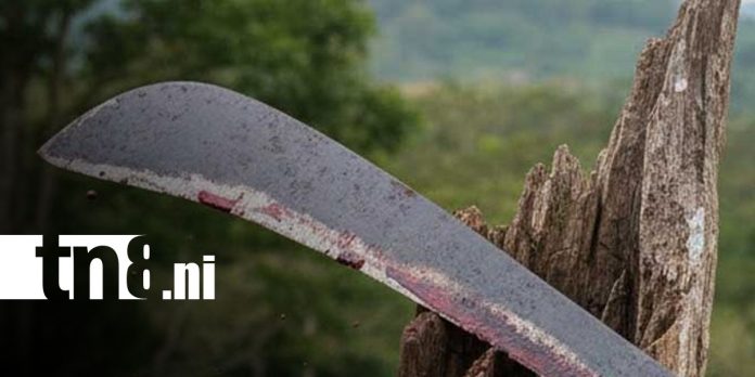 Foto: ¡Por poco lo matan! Juicio por brutal ataque en Managua / TN8